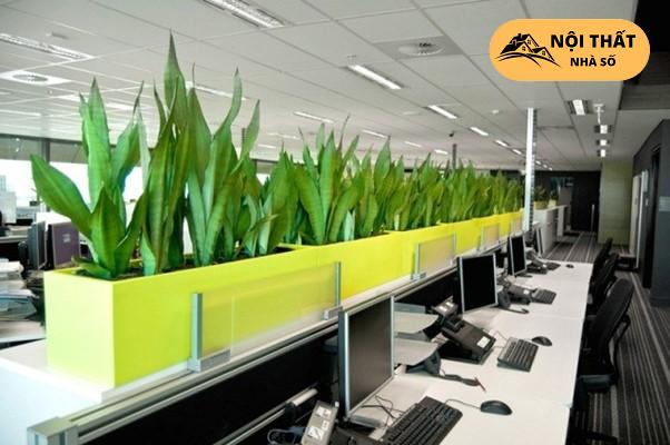 Những lưu ý khi thiết kế văn phòng xanh