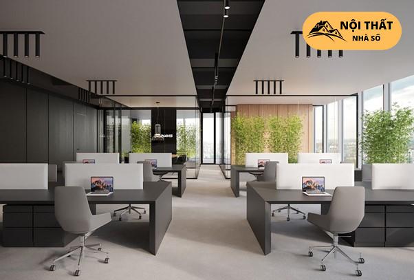 Thiết kế văn phòng dùng cây xanh trang trí